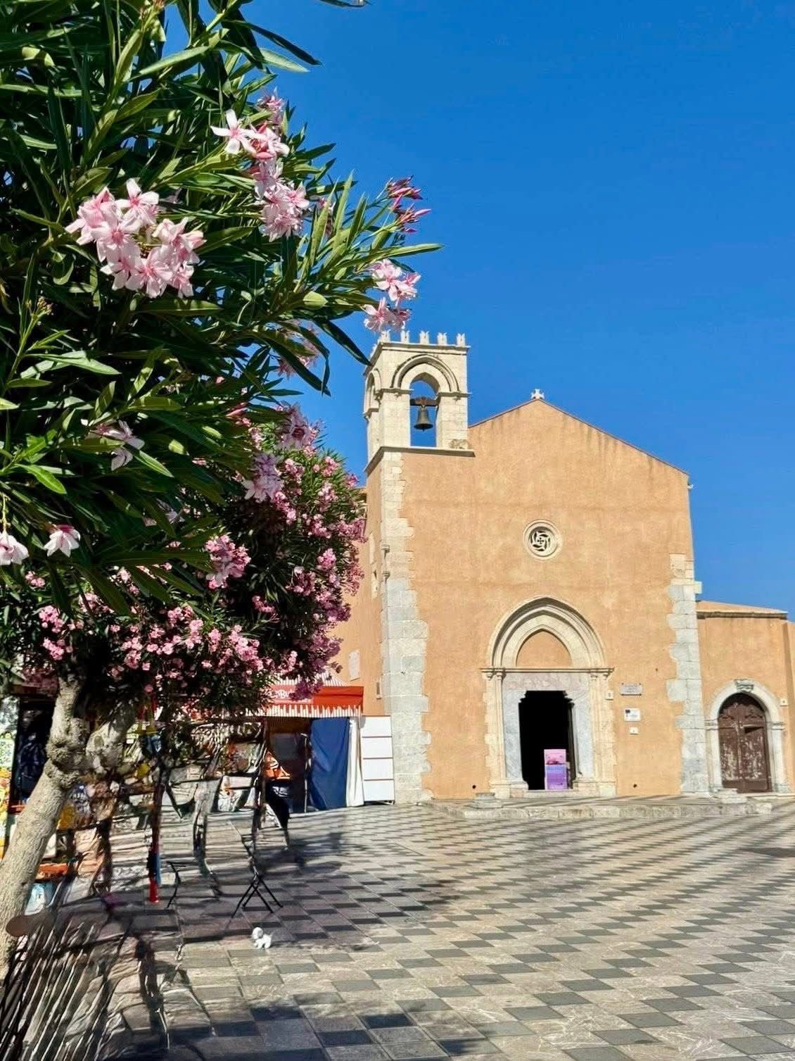 Historic stone church with bell tower under blue sky, pink flowers blooming on tree in foreground, paved plaza with people